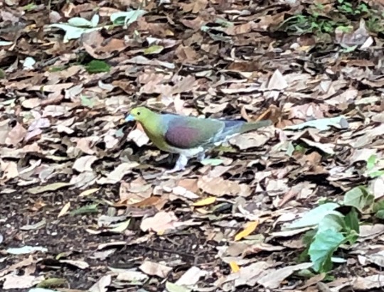 ★ドンキ♡♡ロピア 雑談28★