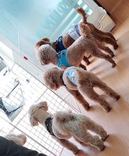 生き物ルーム第43