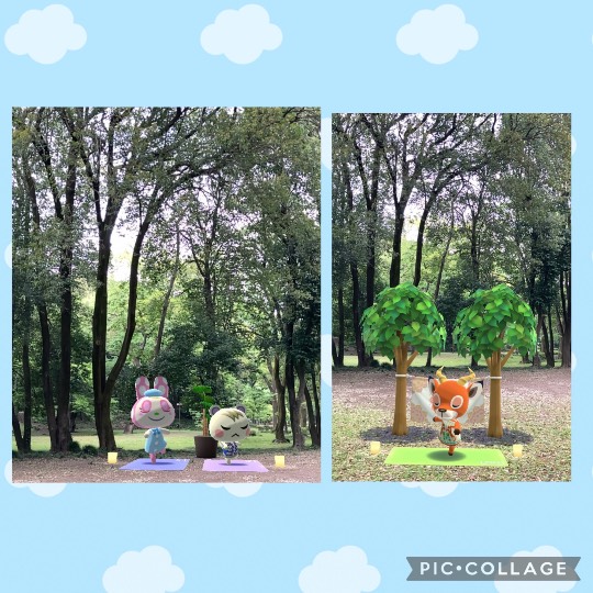 あつまれ‼︎ 雑談&ゲーム好きの森 season2 おしゃべりしよっさ♪♪