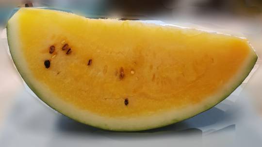 生き物ルーム第43