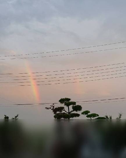 あつまれ‼︎雑談&amp;ゲーム好きの森　season２＃２　ｶｴﾙの歌が聞こえてくるよ〜♪♪