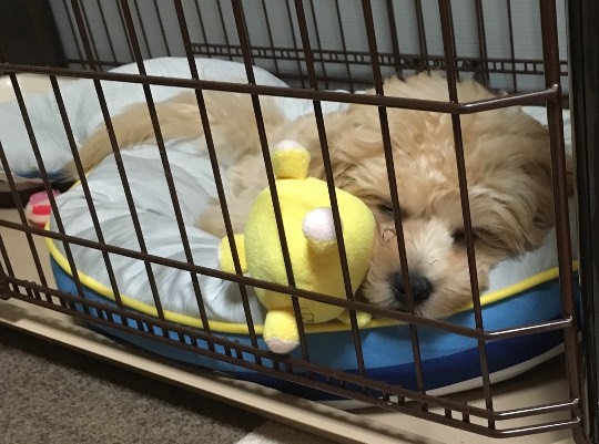 生き物ルーム第44