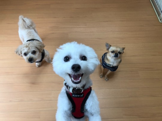 生き物ルーム第44