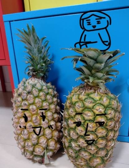 あつまれ‼︎雑談&ゲーム好きの森 season2#2 カエルの歌が聞こえてくるよ〜♪♪