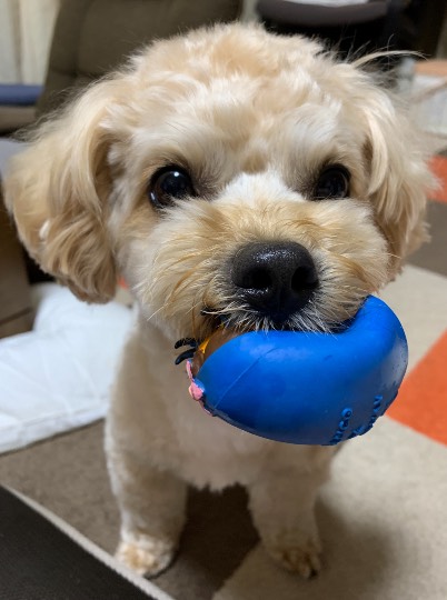 生き物ルーム第44