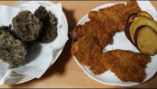 マスク同窓会詰所兼ニューフェイス歓迎所24(癒し所)