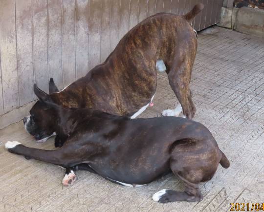 生き物ルーム第42