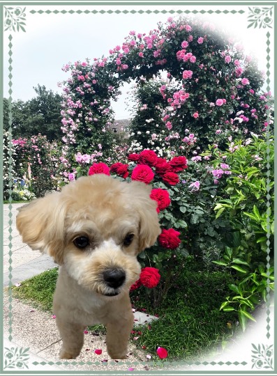 生き物ルーム第43