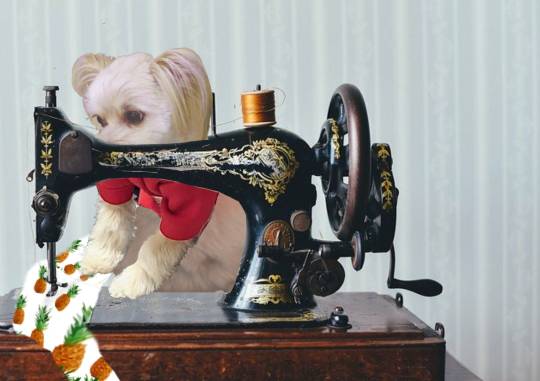 生き物ルーム第43