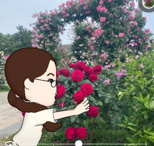 ★ドンキ♡♡ロピア 雑談30★