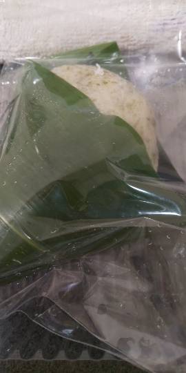 マスク同窓会詰所兼ニューフェイス歓迎所22