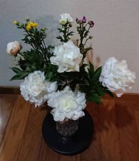 5月14日(金曜日)　北九州倉庫店｜アメリカンドッグ366
石狩鍋スープ三...