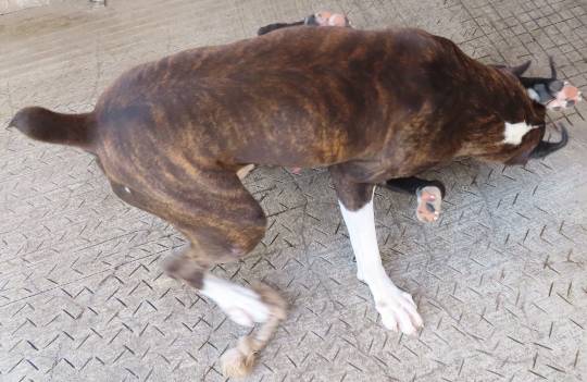 生き物ルーム第42