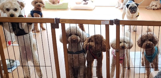 生き物ルーム第44