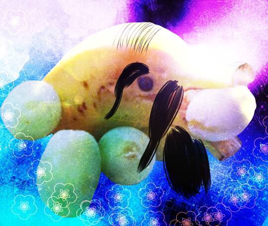 マスク同窓会詰所兼ニューフェイス歓迎所24(癒し所)