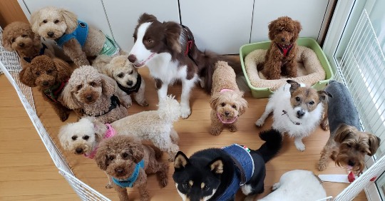 生き物ルーム第43