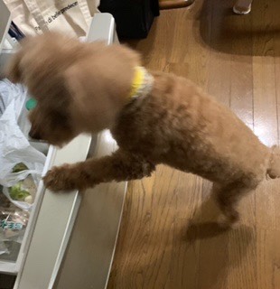 生き物ルーム第43