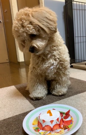 生き物ルーム第43