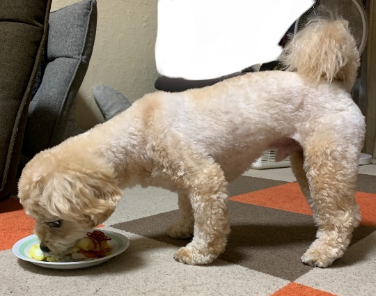 生き物ルーム第43