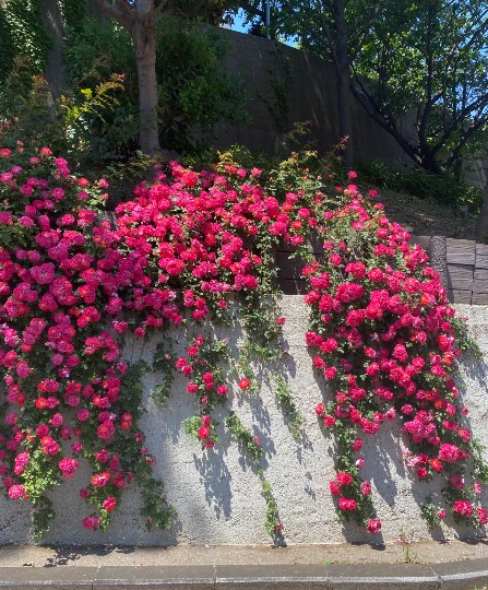 ★ドンキ♡♡ロピア 雑談28★