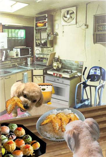 生き物ルーム第44