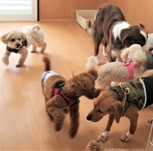 生き物ルーム第42