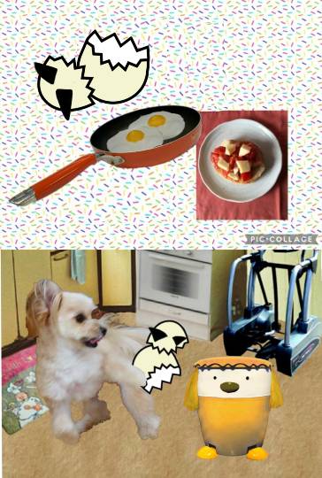 生き物ルーム第44