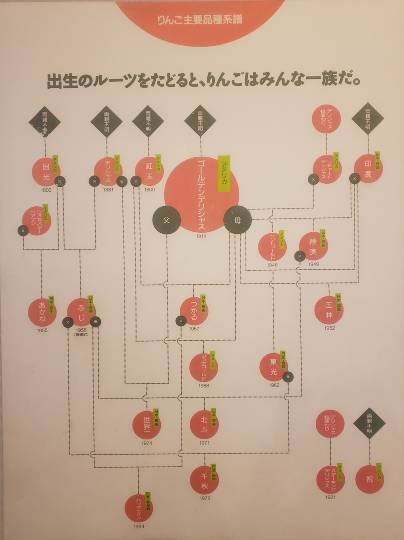 花木、ハーブ野菜、ガーデニング、昆虫etc 大好きさん集まれ4　書き込み初心者大歓迎。