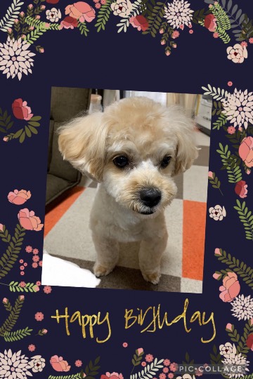 生き物ルーム第43