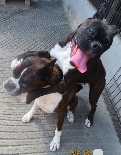 生き物ルーム第44