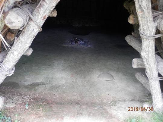 生き物ルーム第43