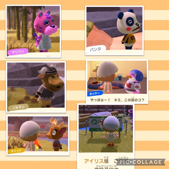 あつまれ‼︎ 雑談&ゲーム好きの森 season2 おしゃべりしよっさ♪♪