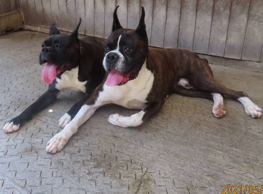 生き物ルーム第44