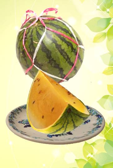 マスク同窓会詰所兼ニューフェイス歓迎所23