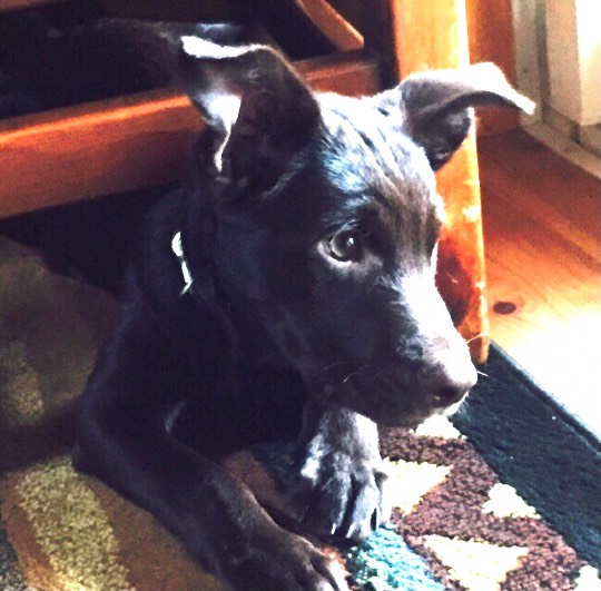 生き物ルーム第43