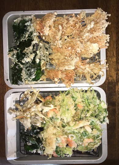 生き物ルーム第44