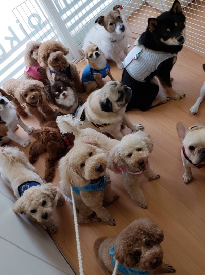 生き物ルーム第43