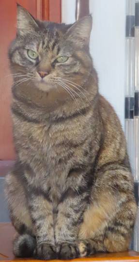 生き物ルーム第43