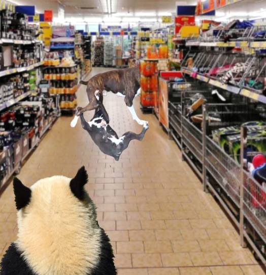 生き物ルーム第44