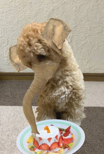 生き物ルーム第43