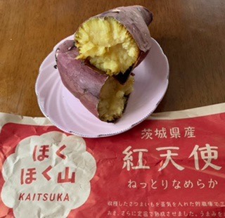 生き物ルーム第43