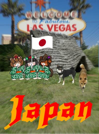 生き物ルーム第43