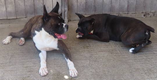 生き物ルーム第44