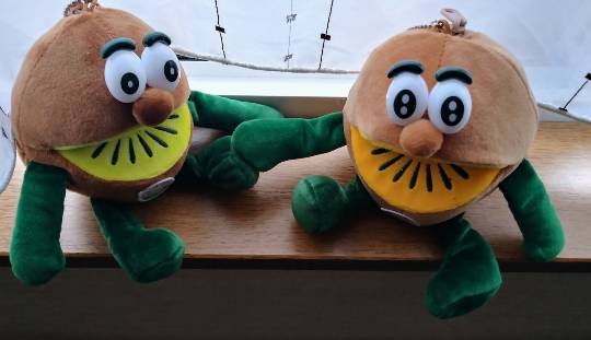 ★ドンキ♡♡ロピア 雑談34★