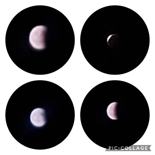 マスク同窓会詰所兼ニューフェイス歓迎所24(癒し所)