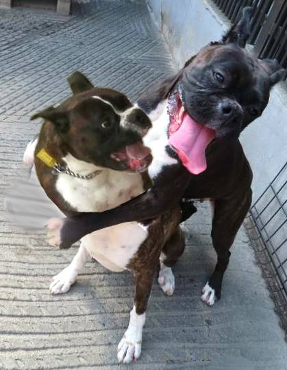 生き物ルーム第44