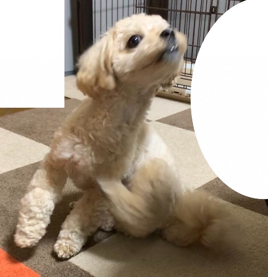 生き物ルーム第42