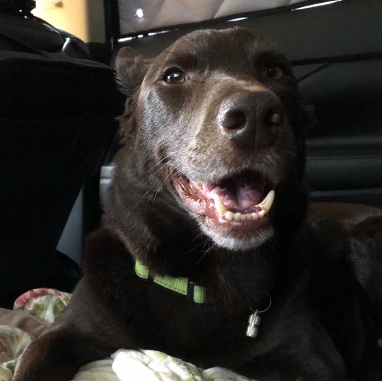 生き物ルーム第44