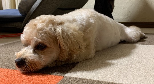 生き物ルーム第43