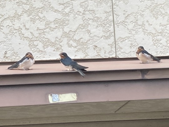 生き物ルーム第44